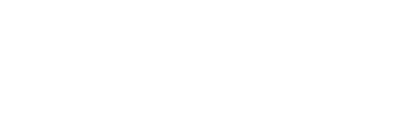Brinks Home Security