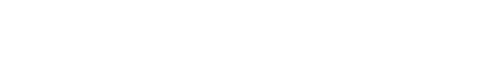Momentum Solar